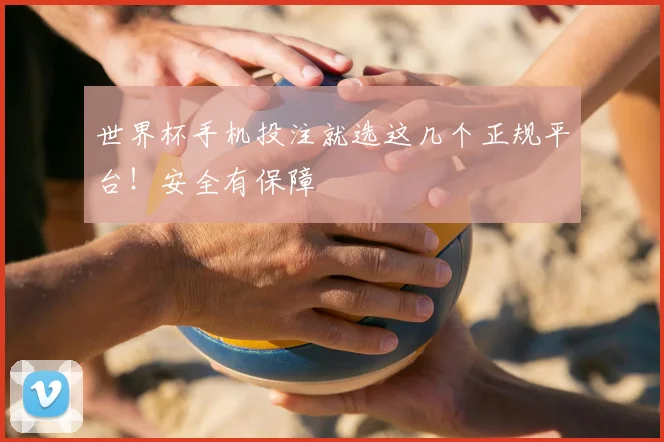 世界杯手机投注就选这几个正规平台!安全有保障