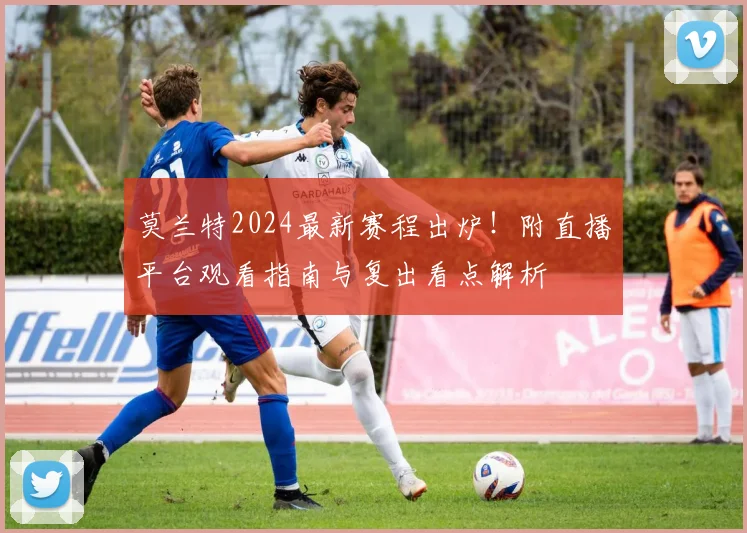 莫兰特2024最新赛程出炉!附直播平台观看指南与复出看点解析